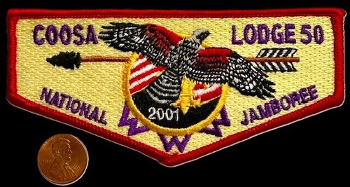 Boy scout bsa - boy, coosa