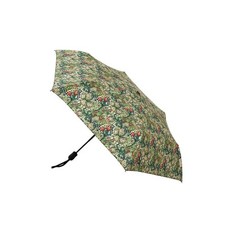 Automatic Folding Umbrella