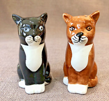 Salt & Pepper Pots - Ginger & Black & White Cat in Original Box