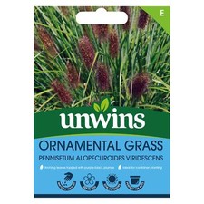 Unwins Flower Ornamental Grass