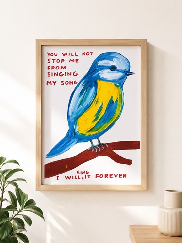 David shrigley blue bird - david, song