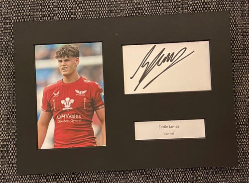 Eddie james wales scarlets - eddie, &
