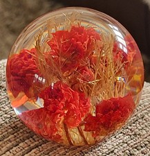 Hafod grange 1996 lucite - grange,
