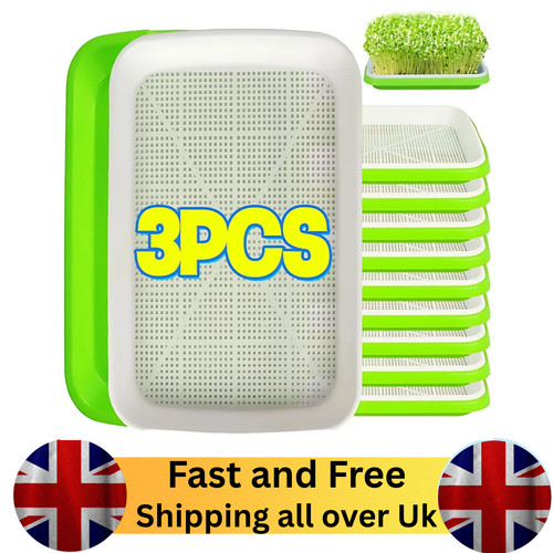 Microgreens seed seedling - seed,