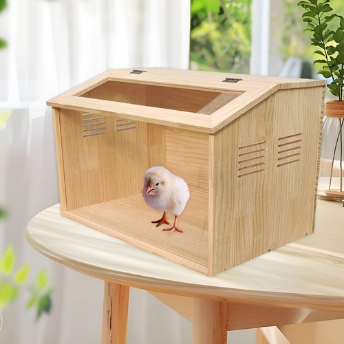 Chick brooder box - box, small