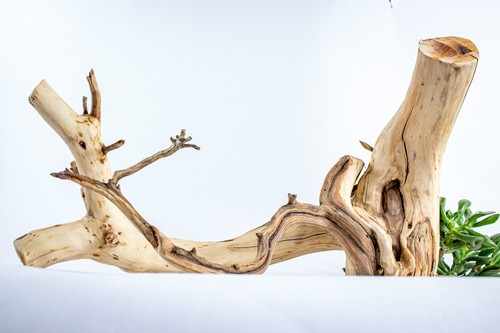 Manzanita aquarium driftwood - aquarium,