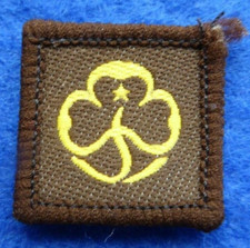 Vintage Brownie Guide