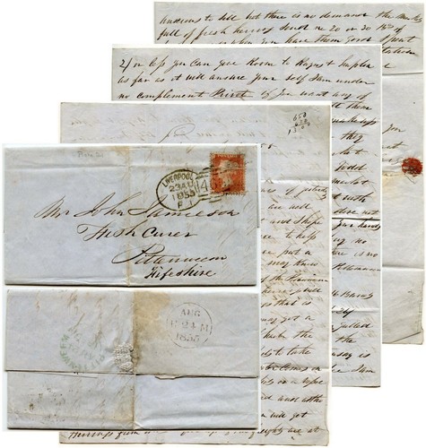 1855 personal letter family - letter,