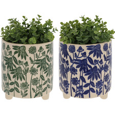 Shudehill Giftware Daisy