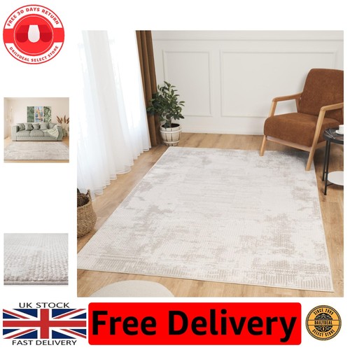 Modern living room rug - living,
