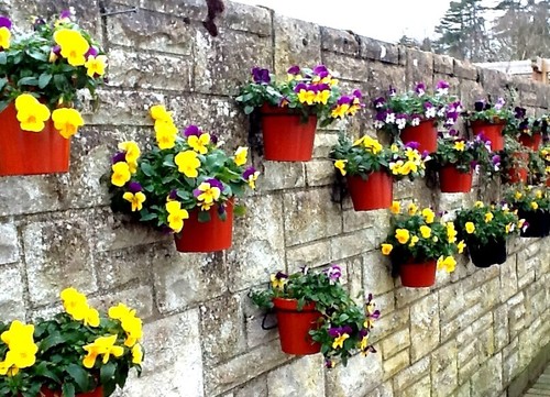 Plant flower pot - 6,