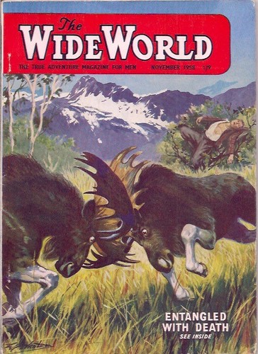 The wide world magazine - the,