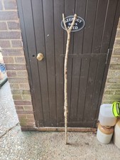 Twisted Hazel Walking Stick.