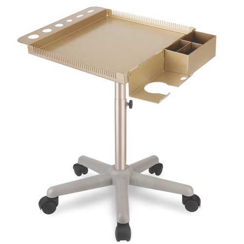 Champagne gold hair salon cart - salon,