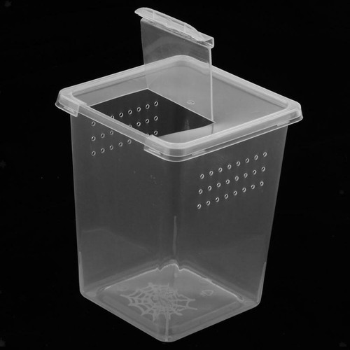 Plastic insect spider habitat - insect,