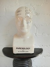 Antique style ceramic phrenology head 30cm height vintage decor whimsical