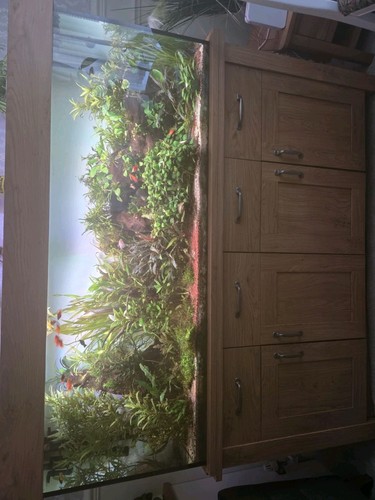 150cm aqua one - tank, and