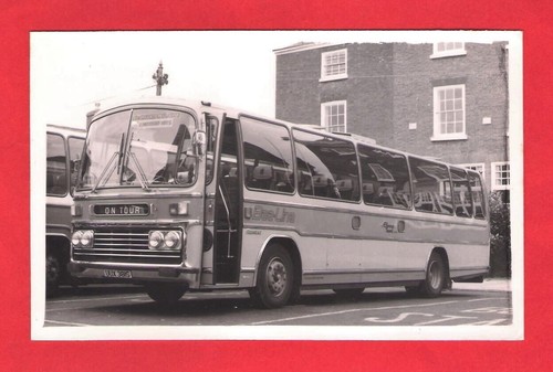 Coach photo bee - coach,