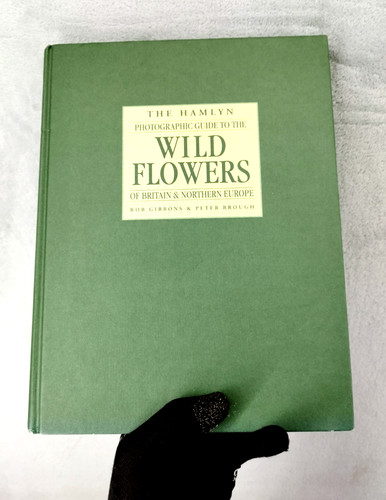 Discover wild flowers the - wild, of