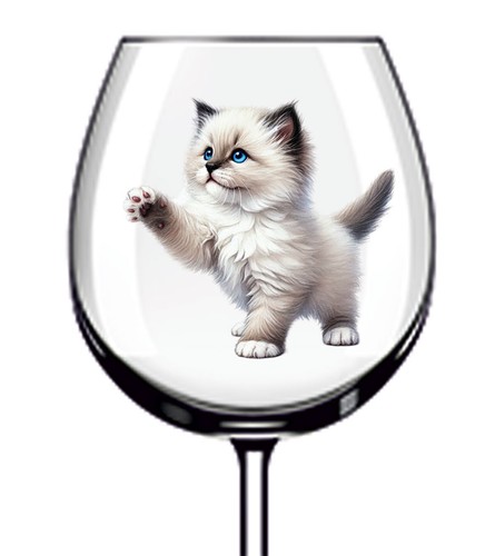 12x ragdoll cat - 12x,