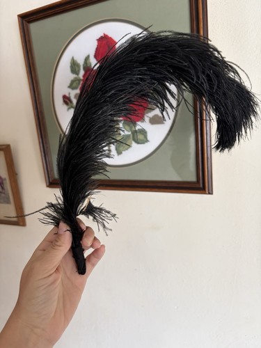 Ostrich feather hat - feather,