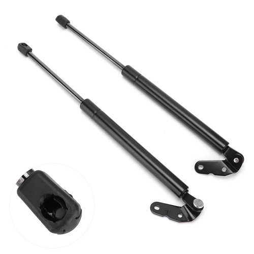 Trunk lift strut - trunk,