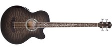 Michael Kelly Dragonfly 4