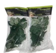 2 X Komodo Reptile Hanging Vine Long Plant Cover Wires Climbing Hiding Space