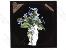 Violets Meeting Of Flowers