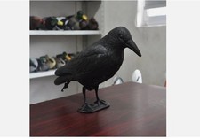 Life Size Crow Decoy Bird
