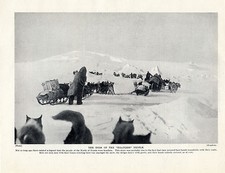 ESKIMO SLED DOG TEAMS ON A TRAIL IN NORTHERN RUSSIA OLD 1934 DOG PRINT