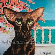 Havana Oriental cat art print
