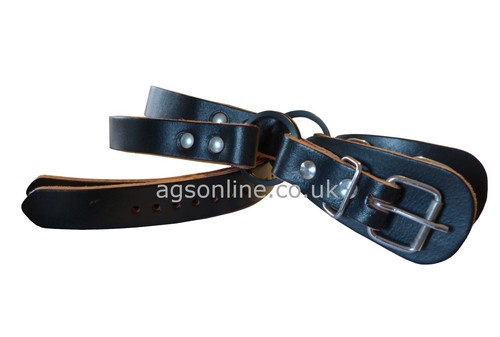 Tree climbing spikes - tree, leather