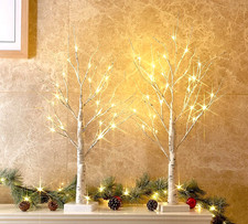 2X Birch Twig Tree with Lights