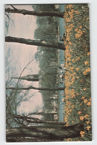 Postcard queen s park - queen's,