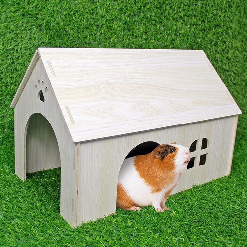 Wooden guinea pig - pig, house