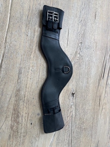 Childeric stop dressage - childeric,