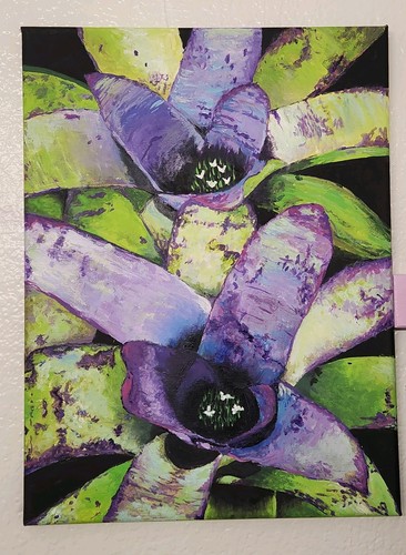 Floral bromeliad plant - bromeliad,
