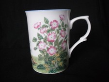 Rose of England Fine Bone