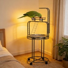 Large Wood Bird Stand Parrot