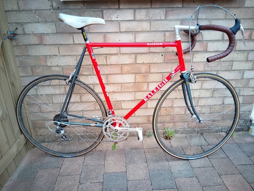 Raleigh sbdu reynolds 753 - raleigh,