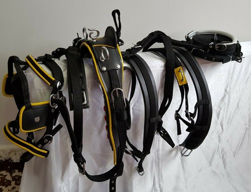 New strong webbing - strong,