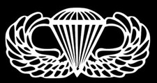 AIRBORNE WINGS Window Sticker