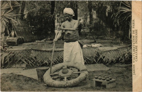 Cpa paris human zoo jardin - human,