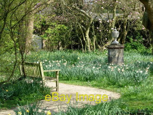 Photo 6x4 nymans garden - photo,