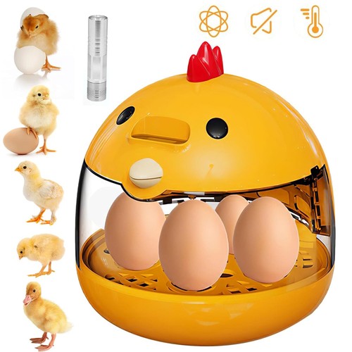 Egg incubator led digital - egg,