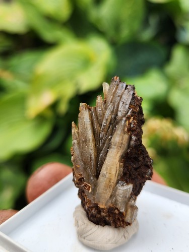 Aragonite crystals with - aragonite,