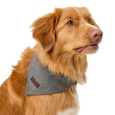 Wainwright's Herringbone Bowtie & Bandana Set Grey slip on collar dog