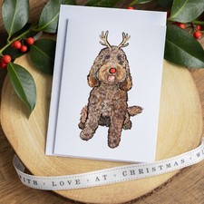 Festive Chocolate Cockapoo