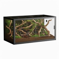 Reptile Enclosure Reptile